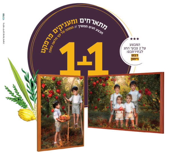 מבצע 1+1 חגי תשרי