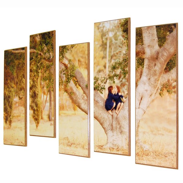 תמונת טבע משפחתית מחולקת אמנותית בגבהים שונים מודפסת על עץ