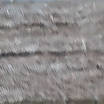 עץ אפור מטאלי